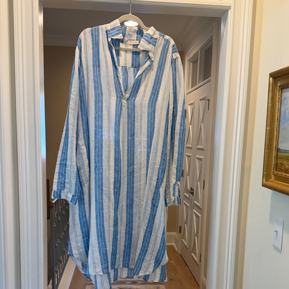CP Shades Blue and White Striped dress